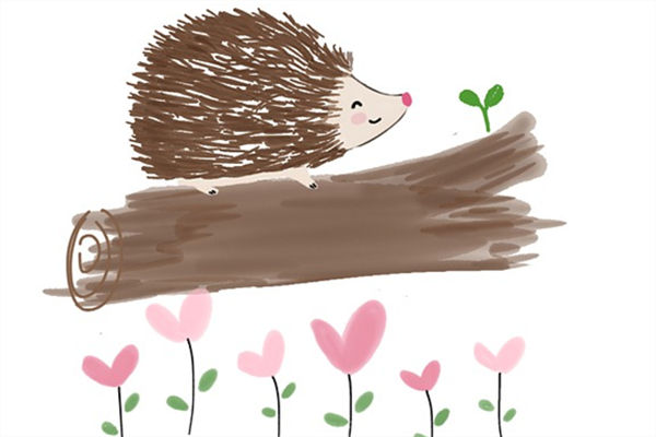 夢到刺蝟和仙家有關嗎_周公解夢