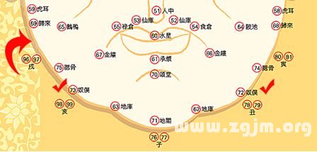 峰生水起面相學：第03課 面型_看相大全