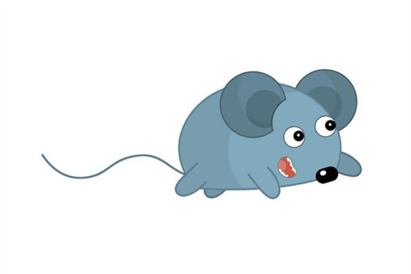 2020屬鼠本命年運勢_十二生肖