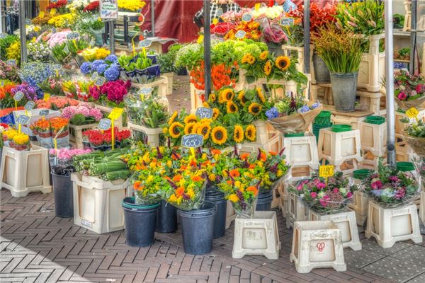 夢見自己買花_周公解夢