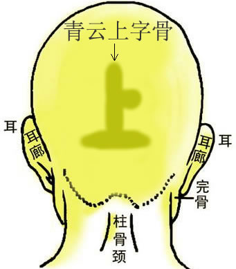 青雲上字骨