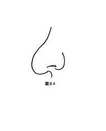 猶太鼻