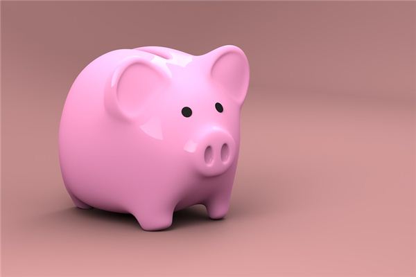 豬本命年有什麼劫?_十二生肖