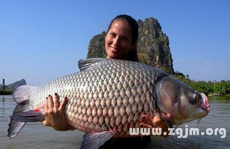 夢見別人抓大魚