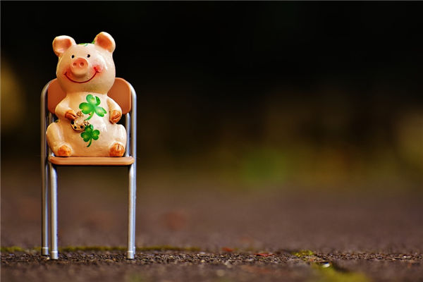 2019年幾點出生屬豬的人姻緣好_十二生肖