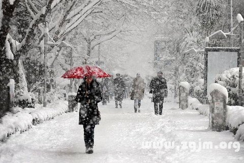 夢見雪 下雪