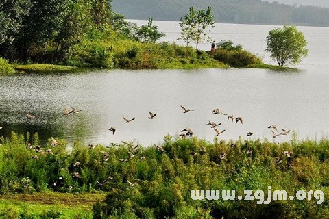 夢見江河湖