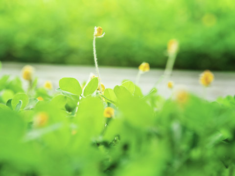 面相捷徑詩賦之閱人生百態（下）