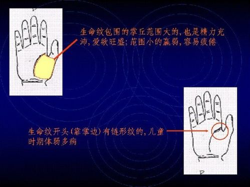 手相算命圖解之生命線的識別與看法