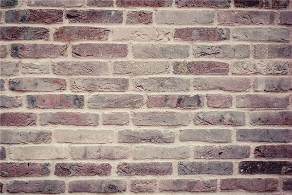 夢到了牆發霉是凶兆還是吉兆_周公解夢