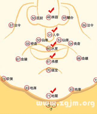 峰生水起麵相學：第02課 隼頭、人中、口、承漿、地閣及三停_看相大全