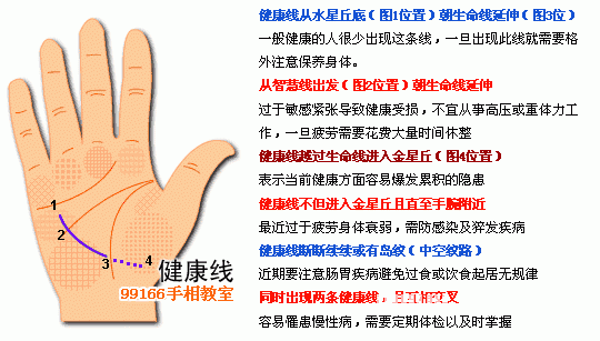 手相圖解大全：12、各類掌紋支線_看相大全