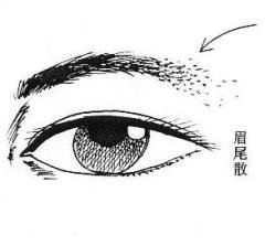 女人相學——命運相