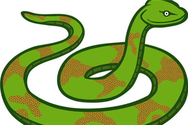 夢到蛇被蛇咬是好的徵兆嗎_周公解夢