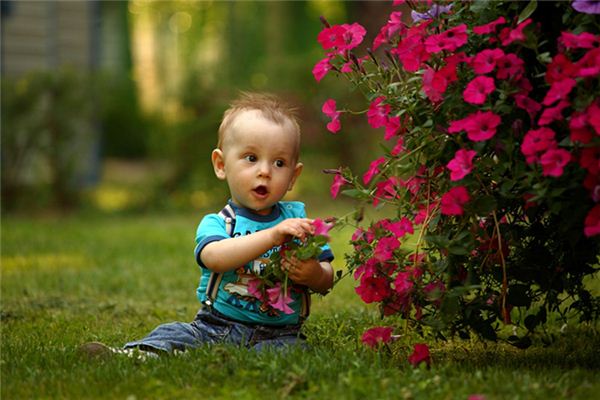 夢見別人小孩拉屎_周公解夢