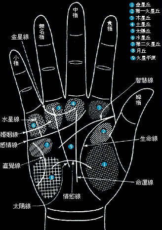 手掌分布圖以便了解手相算命圖解