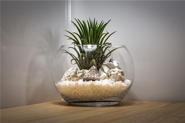 夢見空缸破了_周公解夢