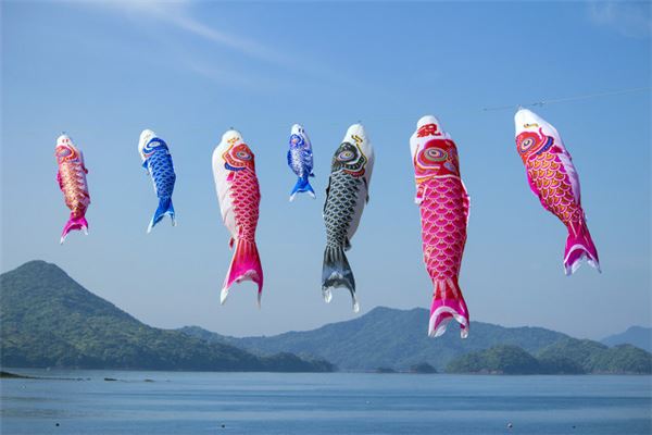 夢見紅鯉魚_周公解夢