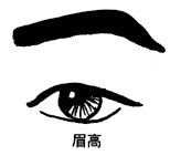 眉高