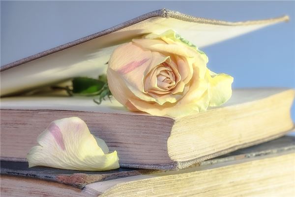 夢見書不見了有什麼意思嗎_周公解夢