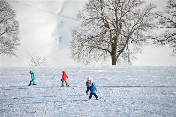 夢見和別人一起滑雪_周公解夢