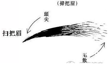 掃把眉