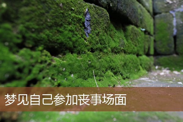 夢見自己參加喪事場面_周公解夢