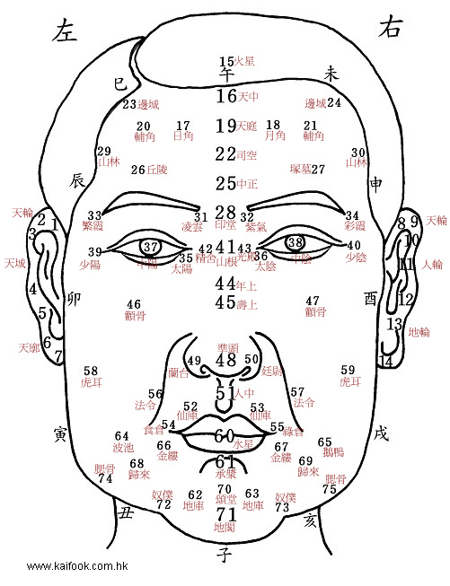 面相算命圖解之流年部位