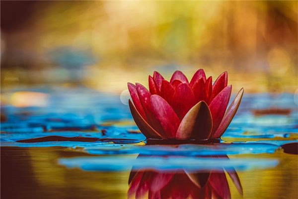 自己如何解夢_周公解夢