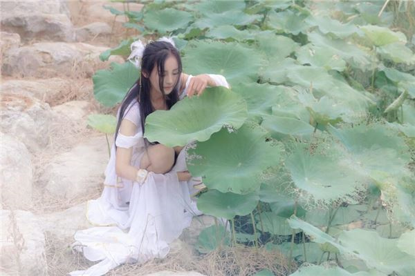 夢見何仙姑是啥預兆_周公解夢