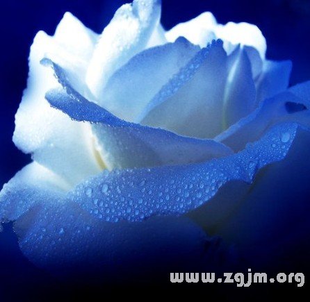 孽緣,從婚後的春夢開始_周公解夢