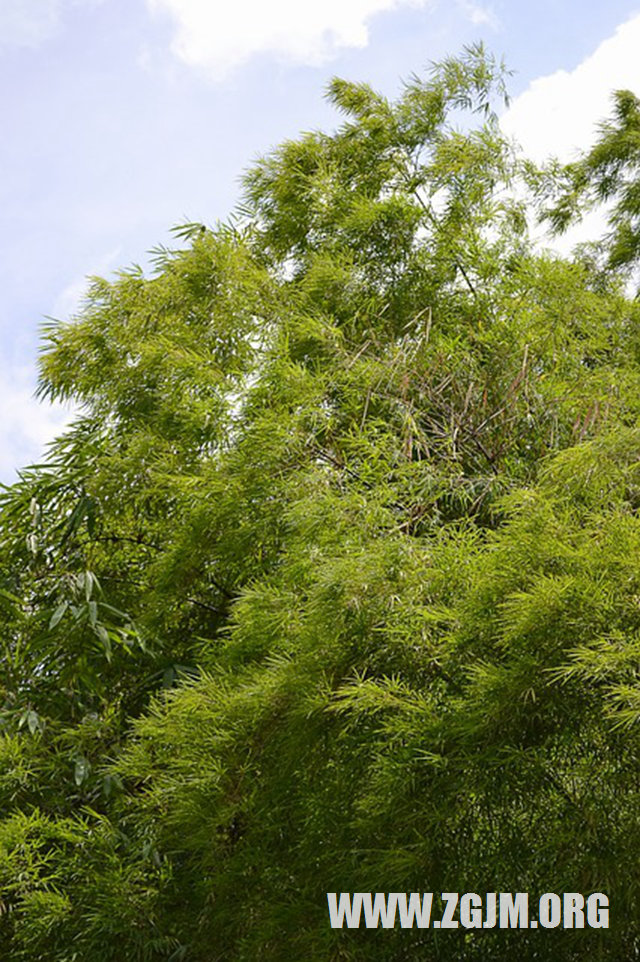 夢見跟女朋友在做愛_周公解夢夢到跟女朋友在做愛是什麼意思_做夢夢見跟女朋友在做愛好不好_周公解夢官網