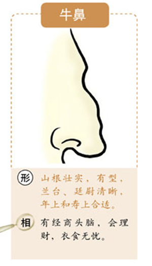 牛鼻能發財