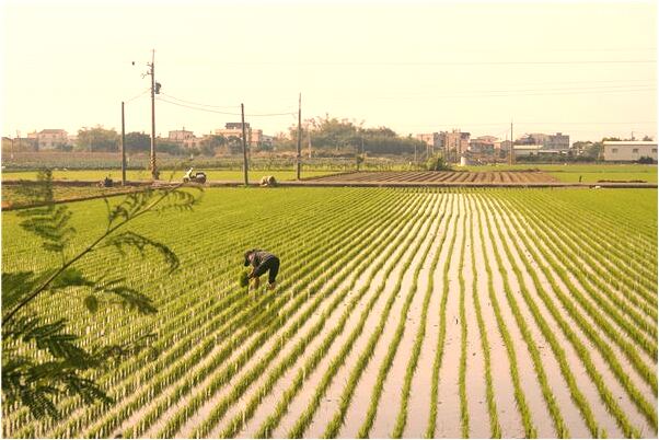 夢到了突然發大水擋住路是什麼預兆_周公解夢官網