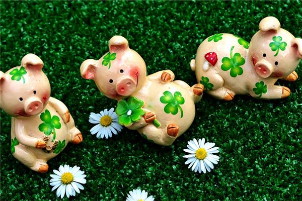 夢見豬意味著什麼_周公解夢