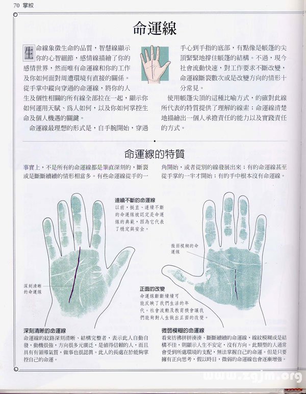 《手相學習百科》：命運線