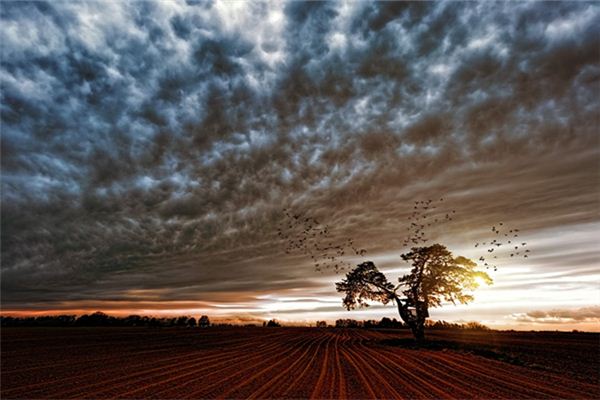 夢見新翻的土地_周公解夢