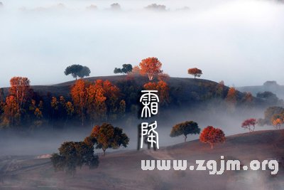 霜降圖片大全，霜降節氣圖片