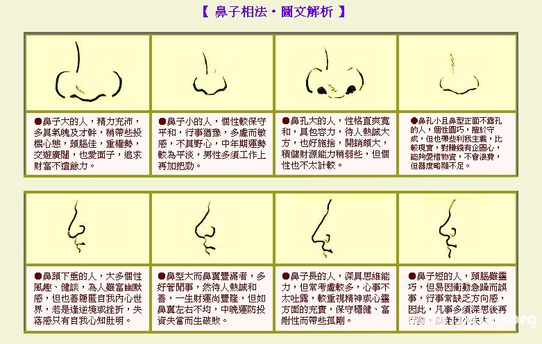 成濤面相鼻子相法