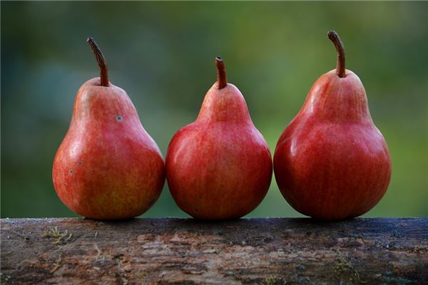 孕婦夢見梨_周公解夢 孕婦夢見梨是什麼意思_孕婦夢見梨好不好_周公解夢官網