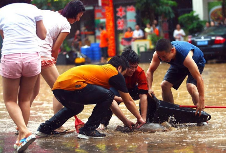 夢見漲大水抓魚