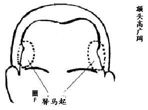 骨相中幾種貴人命格