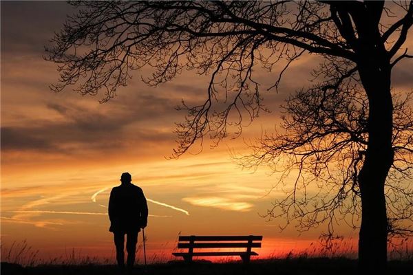 夢見已故的老人_周公解夢