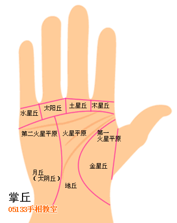 伸手看掌丘奧秘_看相大全