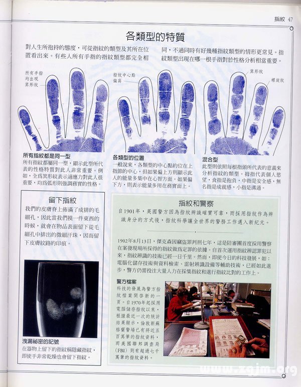 《手相學習百科》：指紋