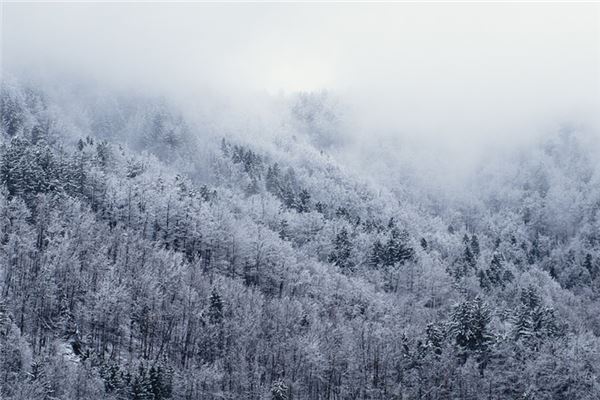 夢見下雪是什麼徵兆周公解夢_周公解夢