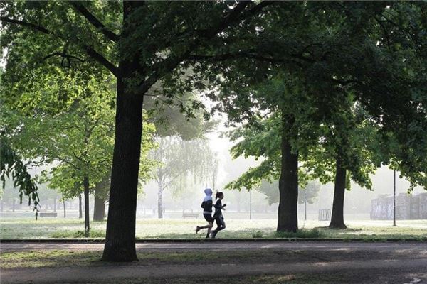 夢見被人追趕拚命逃跑成功_周公解夢