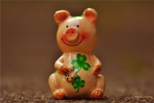 生肖屬豬的人出生在什麼年份呢_十二生肖