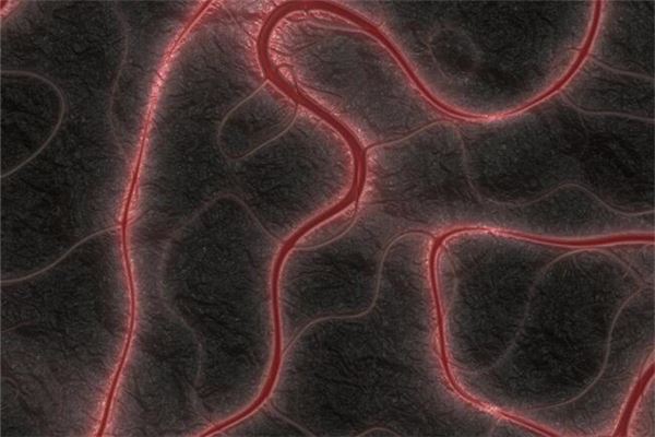 夢見肚子裡有蟲子_周公解夢