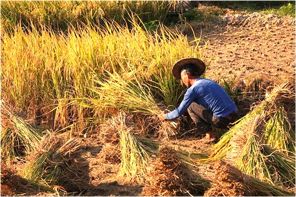 夢到了和和女人睡覺怎么說_周公解夢官網